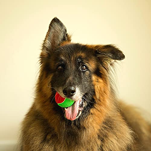 Midlee Merry Christmas Dog Tennis Balls (Regular) #TOP3