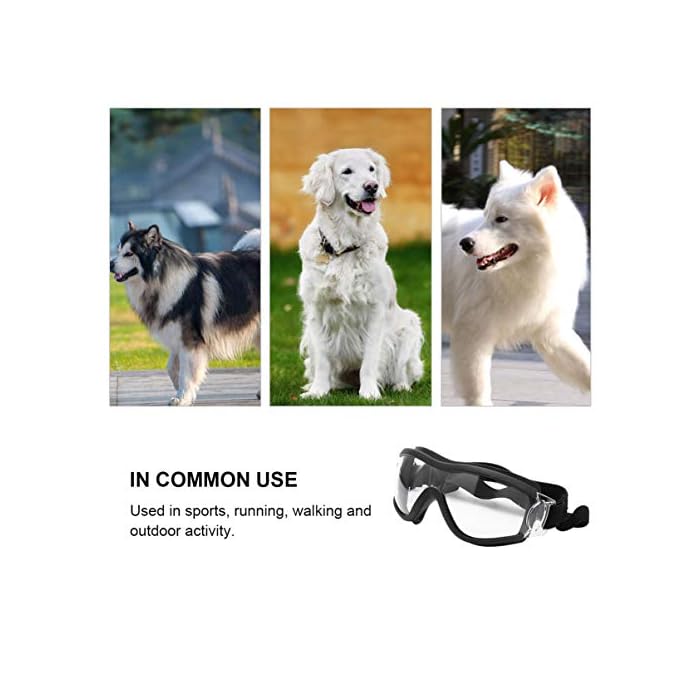 ULTECHNOVO Pet Goggles Eye Protective Glasses Anti-UV,Windproof,Waterproof Eye Goggles for Dog,Puppy (Transparent) - Image 8