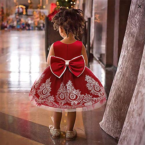 Image of CMMCHAAH 0-6T Baby Girls Pageant Lace Embroidery Dresses Toddler Party Bowknot Tutu Gown Dress with Headwear