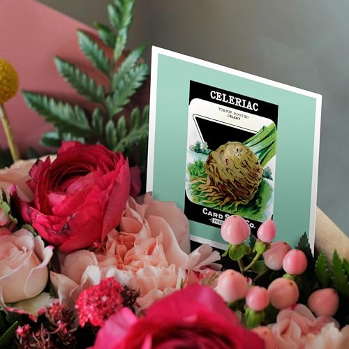 3dRose Celeriac Turnip Rooted Celery Seed Packet from Card Seed Company 1 Greeting Card with envelope - Thumbnail 3