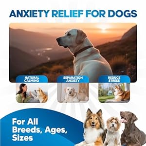 Dog Anxiety Relief - Faster Absorption Than Hemp Calming Chews for Dogs - Dog Calming Chews Alternative - Hemp Oil and Melatonin for Dogs - Liquid Dog Calming Treats for Thunder, Fireworks, Sleep Aid Dog Anxiety Relief Faster Absorption Than Hemp Calming Chews for Dogs Dog Calming Chews Alternative Hemp Oil and Melatonin for Dogs Liquid Dog Calming Treats for Thunder Fireworks Sleep Aid