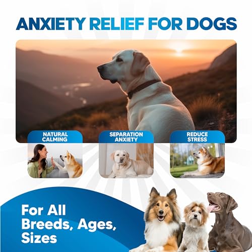 Dog-Anxiety-Relief-Faster-Absorption-Than-Hemp-Calming-Chews-for-Dogs-Dog-Calming-Chews-Alternative-Hemp-Oil-and-Melatonin-for-Dogs-Liquid-Dog-Calming-Treats-for-Thunder-Fireworks-Sleep-Aid Dog Anxiety Relief Faster Absorption Than Hemp Calming Chews for Dogs Dog Calming Chews Alternative Hemp Oil and Melatonin for Dogs Liquid Dog Calming Treats for Thunder Fireworks Sleep Aid