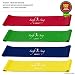 Swift-n-Snug Best Workout Bands from Resistance Exercise Bands : X-Heavy, Heavy, Medium & Light In Free Nylon Carry Pouch for a Toned Body, Set of 4