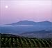 Tuscany and Its Wines