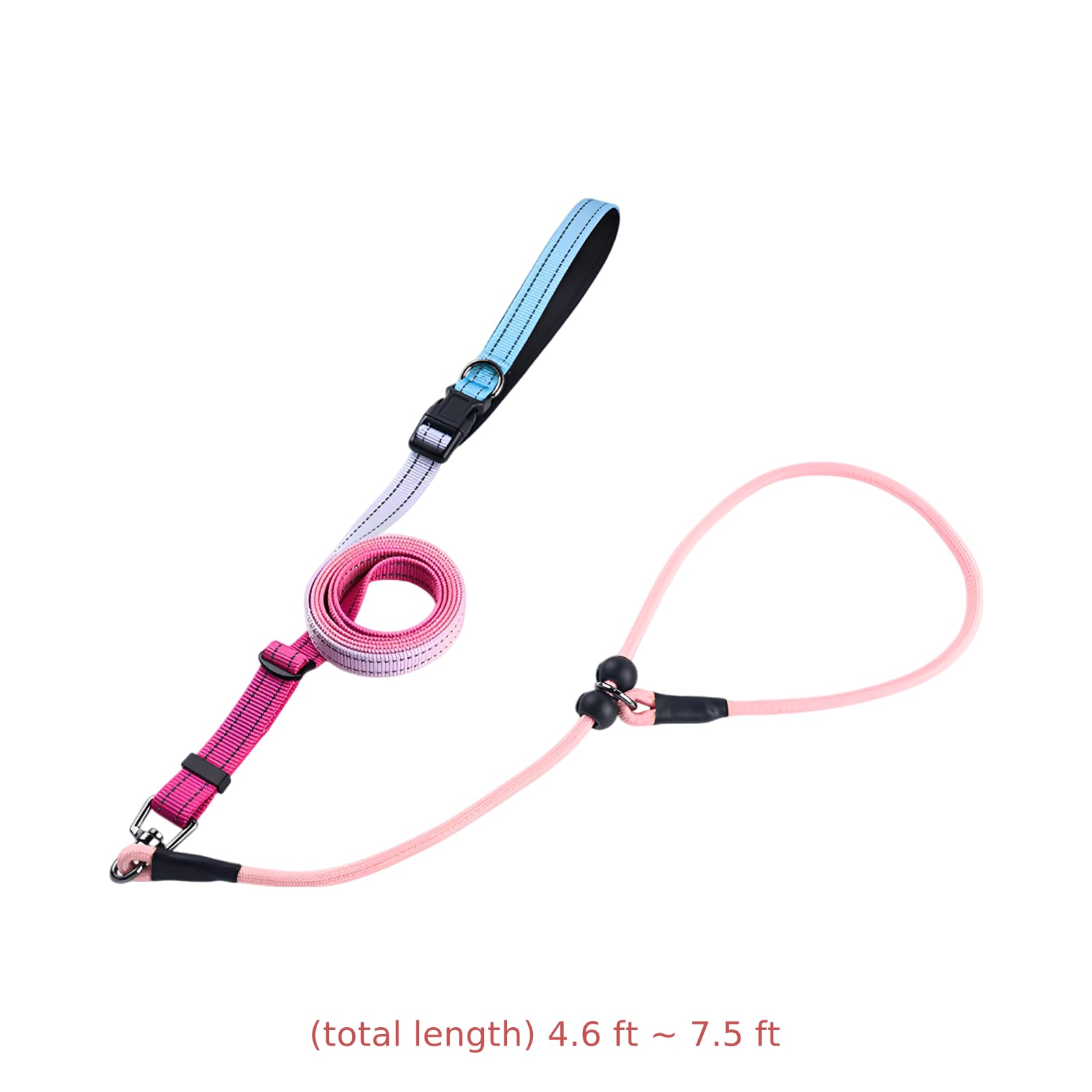 Laisse pour Chien Mains Libres, Design P-Leash, dégradé Bleu Rose, Laisse d'entraînement sans Traction, Boucle à Ressort, éléments réfléchissants, Corde en Nylon réglable de 140 à 230 cm