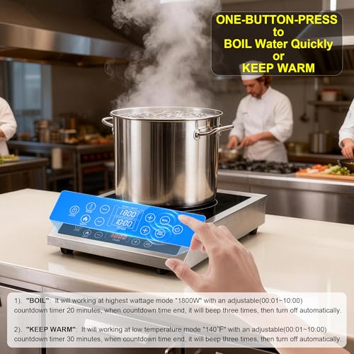 Induction Cooktop Double Burner Portable