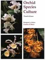 洋書 Orchid Species Culture : Dendrobium Orchid Species Culture: Dendrobium (Orchard Species Culture
