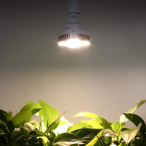 Miniatura 7 de CANAGROW - Luz LED de cultivo de espectro completo de 35 W para plantas de interior, lámparas de cultivo para invernaderos hidropónicos, plantas de