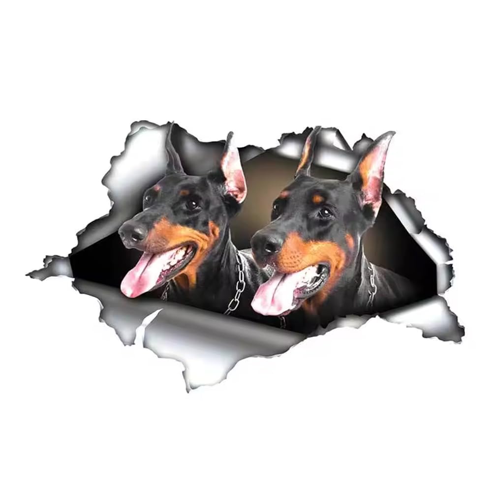 Dobermann Hunde Aufkleber, 3D Zerrissener Effekt, Reflektierend, Wasserfest, Zwei Dobermänner Lustige Aufkleber für Auto, Laptop, Kühlschrank (18cm/7.1 Inch)