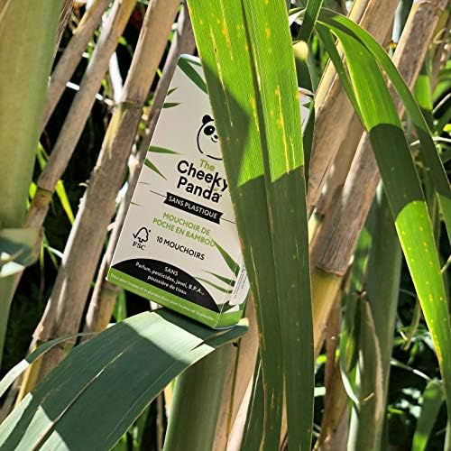 Pocket Tissues 100% Bamboo The Cheeky Panda  No Plastic