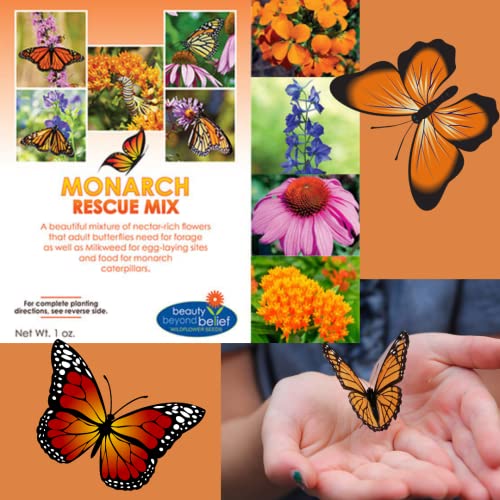 Monarch Butterfly Rescue Wildflower Seed Packet - 1oz, Open-Pollinated Wildflower, No Fillers, Annuals, Perennials and Milkweed Seeds for Monarch Butterfly 1oz - Image 4