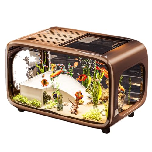 ^Zbg t[ht AN _J x^  eg Zbg ÉtB^[  rO Q CeA ANAE Zbg (zCg,fbNXf) ([uE] OWA[X^C)