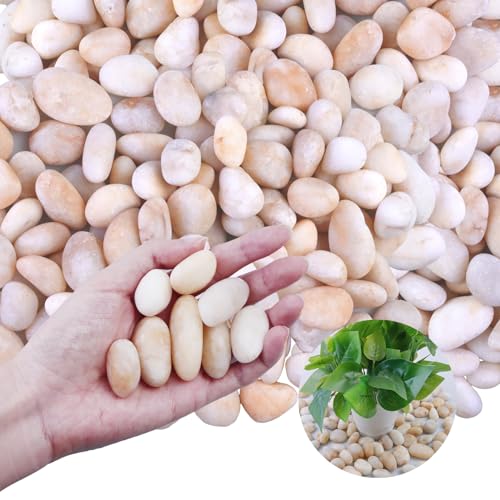 Lechloris Piedra de río blanca crema de 20 libras - Piedras decorativas para plantas - Rocas de río para paisajismo al aire libre - Piedras pulidas de 0.3 a 0.8 pulgadas de alto pulido para acuario