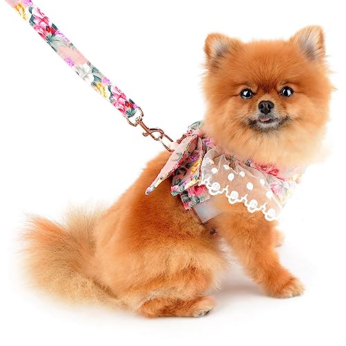 SMALLLEE_LUCKY_STORE Arnês de princesa floral animal de estimação vestido e guia para cães pequenos