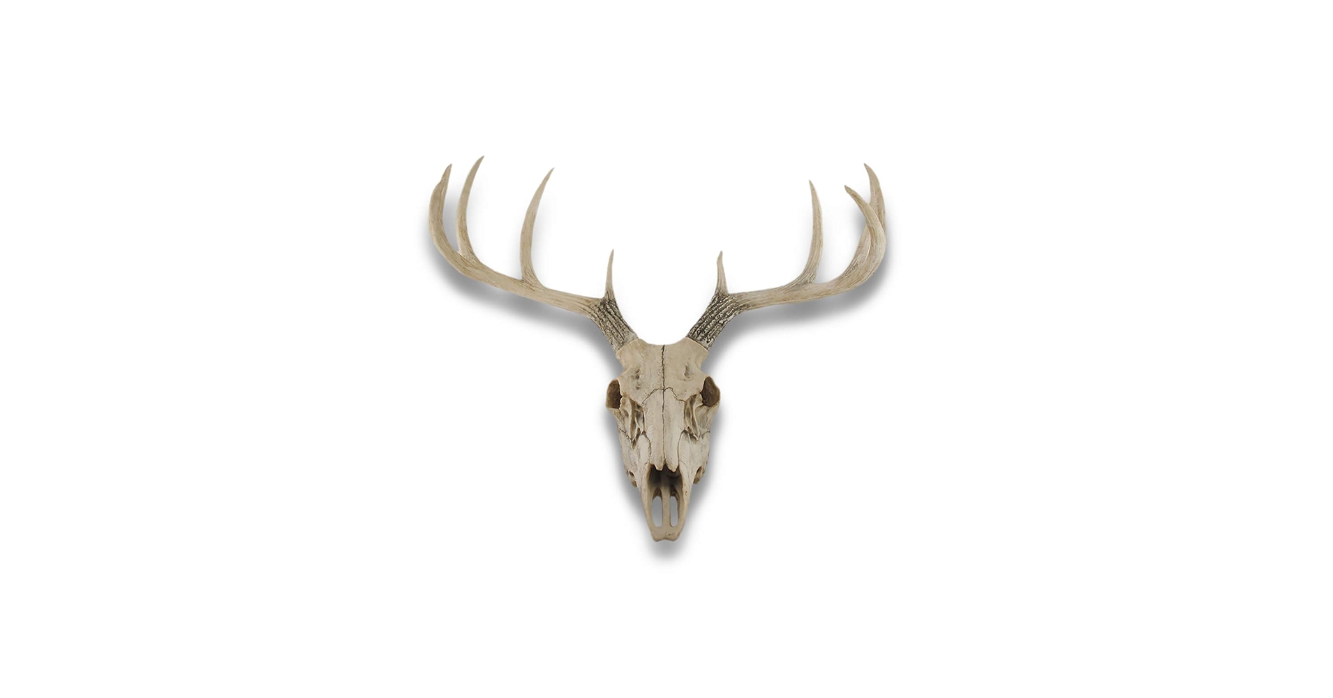 蝦夷鹿hunting trophy（deer skull） 蝦夷鹿hunting trophy（deer skull） Indigenous Art Carved