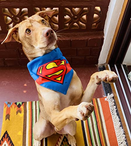 Image of TDIT X�DC Superman Reversible Dog Bandana with Adjustable Dog Collar (Size Small)