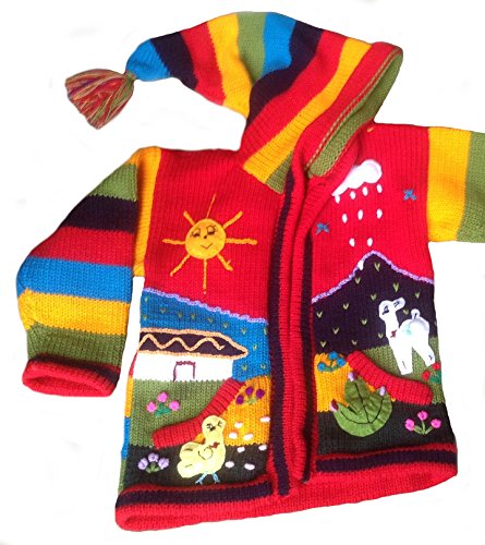Unisex Toddler Hooded Cardigan, Peru Hand- Embroidered Country Motives