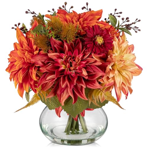 Villa Como  ԑ u[P [X H _A CeA   Vzj JXj VN NX}X ̓ a X   (IW)