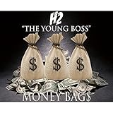 boss bags harley  Money Bags