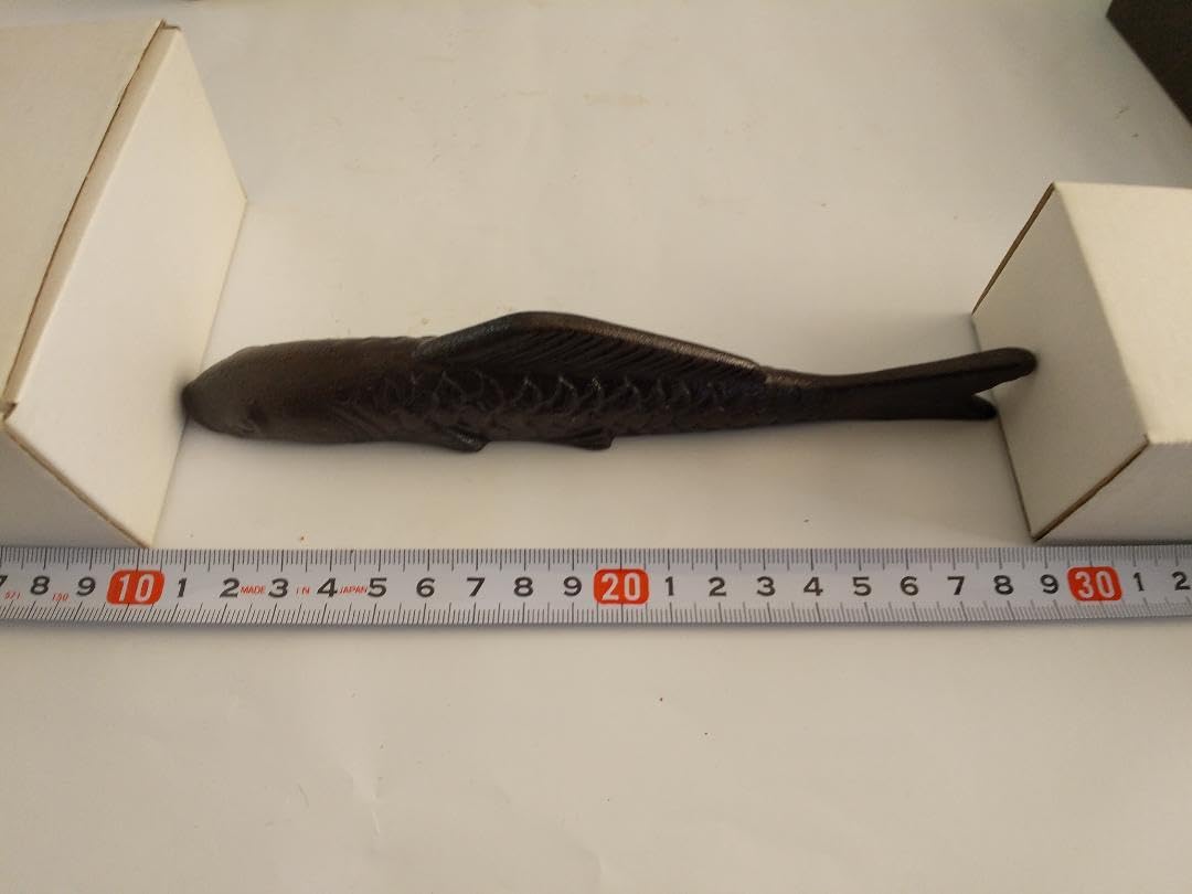 Amazon.co.jp: 鉄器 魚の文鎮 ペーパーウェイト さかな 魚 鉄 : 文房具