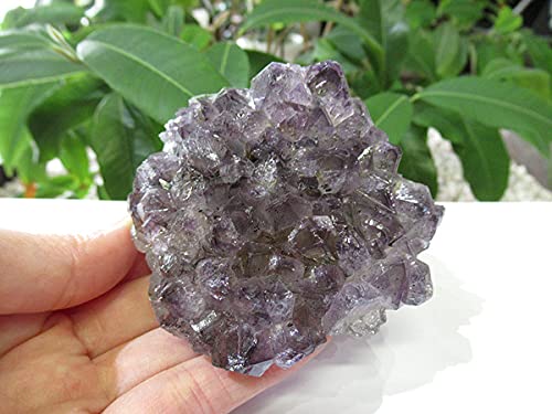 Amazon.co.jp: アメジスト 原石 クラスター 紫水晶 天然石専門店 販売