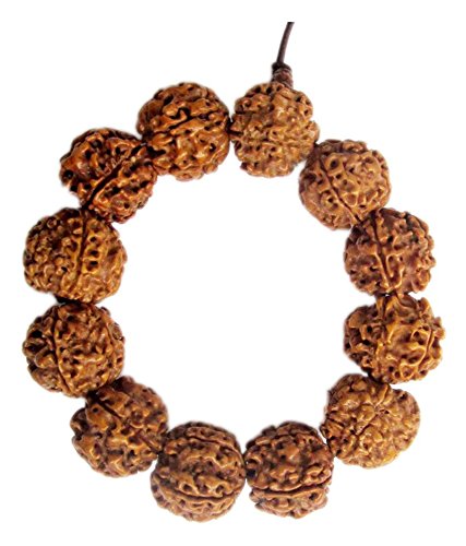S.L Enterprises Rudraksha Bracelet