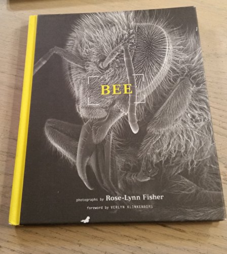 Bee view 2