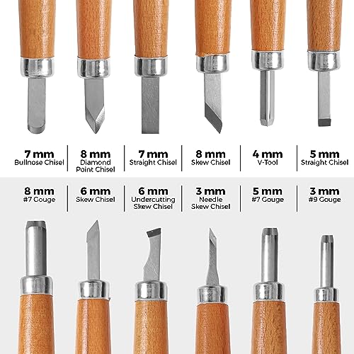 Schaaf Beginner Wood Carving Kit