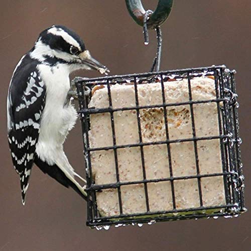 More-Birds-Suet-Cage-Bird-Feeder-Fruit-and-Suet-Feeder-Single-Cake-Capacity-Black