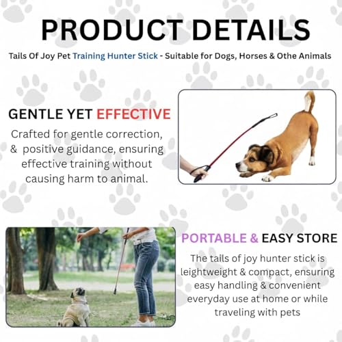 Image of Dog Training Stick for Walking & Behaviour Control | Strong & Lightweight Dog Walking Stick Pack of 2 | Pet Training Baton for All Breeds | Safe Obedience Training Tool
