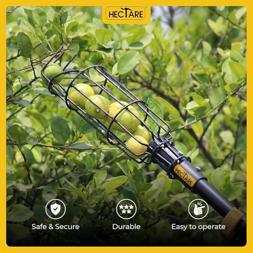 Image of Hectare Multi-Purpose Small Fruit Picker & Plucker Basket | Ideal for Lemon, Chiku, Sapota and Amla Harvesting | Lightweight Manual Gardening Tool | Durable Fruit Catcher for Easy Picking