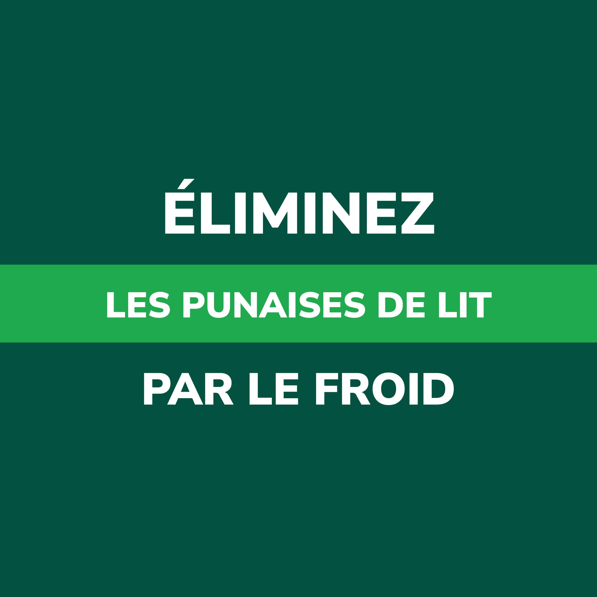 SPRAY CRYO ANTI PUNAISES DE LIT -40°C - 500ml - Élimine instantanément les Punaises de lit et les Oeufs - Applicateur de précision - Solution Naturelle Efficace sans Insecticide - GREENBUGS