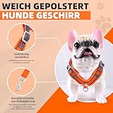 Hundegeschirr mit Hundeleine Set, Air-Mesh Atmungsaktiv Brustgeschirr für Kleine, Mittelgroße Hunde & Welpen, Weich Gepolstert Einstellbar Reflektierend Geschirr (Orange, XS)