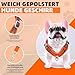 Hundegeschirr mit Hundeleine Set, Air-Mesh Atmungsaktiv Brustgeschirr für Kleine, Mittelgroße Hunde & Welpen, Weich Gepolstert Einstellbar Reflektierend Geschirr (Orange, XS)