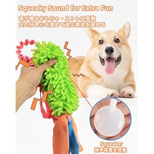 SCHITEC-Tug-Toy-for-Dogs-Bungee-Tug-of-War-Rope-Toys-with-Squeaky-Sound-for-Small-Medium-Large-Dog-Puppy-Training-Pull-Toy-for-Exercise-Interactive-Play-Games - Cucciolini Doodles SCHITEC-Tug-Toy-for-Dogs-Bungee-Tug-of-War-Rope-Toys-with-Squeaky-Sound-for-Small-Medium-Large-Dog-Puppy-Training-Pull-Toy-for-Exercise-Interactive-Play-Games