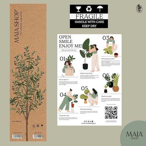 Maia Shop Plantas Artificiales Decorativas - Olivo Artificial Minimal 180 cm, Planta Grande para Decoración Hogar, Arbol Artificial con Maceta de Plástico incluida - imagen 4