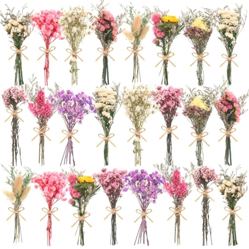 WGXX 12/24 Pack Dried Flowers for Vase Various...