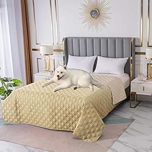 Waterproof Dog Bed Cover