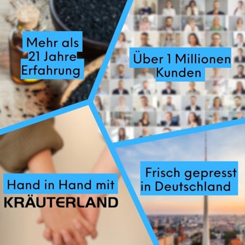 Kräuterland Bio Schwarzkümmelöl 500ml, gefiltert, ohne Zusatz von Aroma-, Farb- und Konservierungsstoffen, hoher Thymochinon, kaltgepresst, mühlenfrisch direkt aus unsrer hessischen Ölmühle