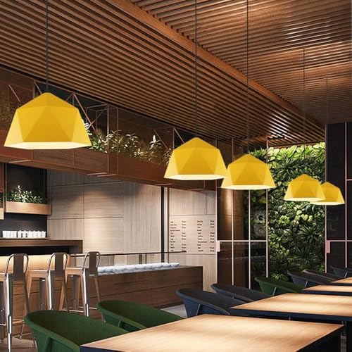Iluminación pendentil industrial para techos altos de cocina y terrazas 4