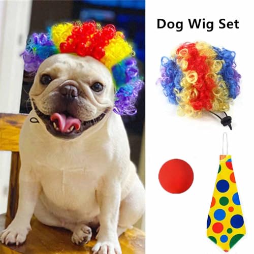 Set Disfraz Payaso para Perro con Peluca Ajustable miniatura 2