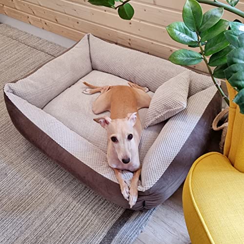 4L Textil Teo Kuscheliges Hundebett Bezug abnehmbar und waschbar Hundekorb mittelgroße Hunde Hundekissen flauschig Hundekörbchen Hundesofa (80x60 cm, Braun/Beige)