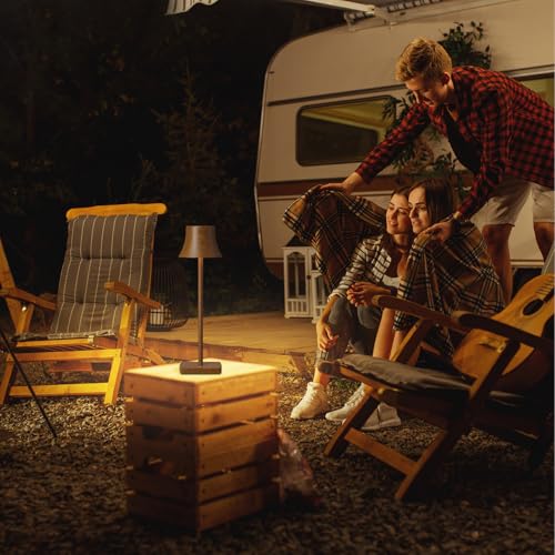 SAKRINGT 2 Pack LED Cordless Table Lamps Rechargeable,5000mAh Battery Operated Table Light,3 Color Stepless Dimming,Portable Small Table Lamp for Patio Restaurant Outdoor