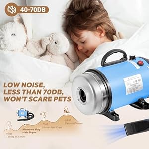 Dog dryer pet grooming hair dryer with heatervacuum  dryeradjustable speed and temperature control dog blower 4 different nozzles for home pet washing station travel   cucciolini doodles