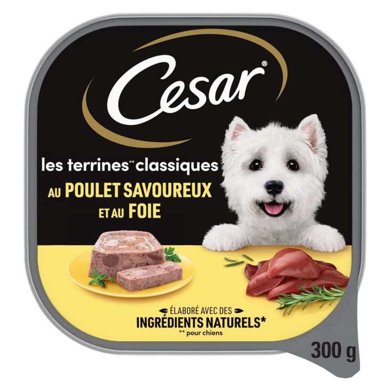Délice de Cesar: Pâtée pour Chien au Poulet en terrine 300g | Recette Savoureuse & Équilibrée | Nourriture Canine de Qualité - Le Lot De 4