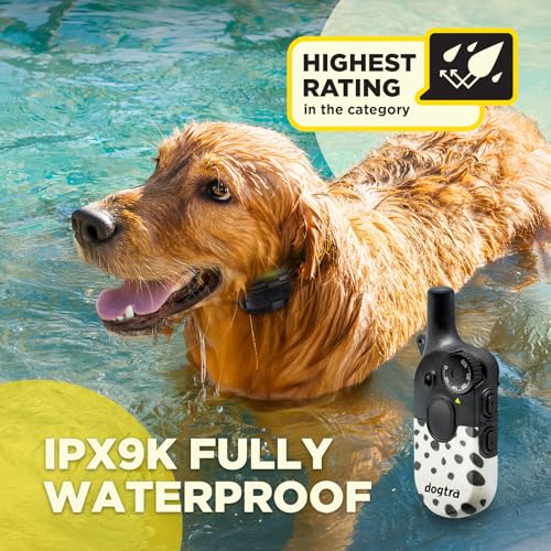 Image of Dogtra 200iQ Remote Training E Collar - 100 Levels, Tone, Vibration, 1 /2 Mile Range - Compact, Waterproof, One-Handed Control for Dogs 10 lbs+ - Lightweight Design for Daily Training - Modern Dots