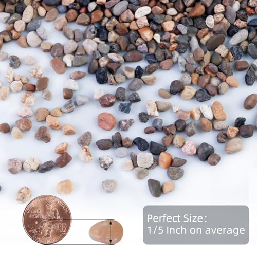 Image of 5lb Mixed Color Silica Gravel Pebbles, 1 /5 inch Decorative Stones for Succulents, Pebbles for Vases,Plants Rocks, Aquarium Sand, Top Dressing, Outdoor Decorative Rocks