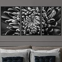 3 Piece Framed Canvas Wall Art Black and White Botanical Canvas Prints Home Artwork Decoration for Living Room,Bedroom - 16