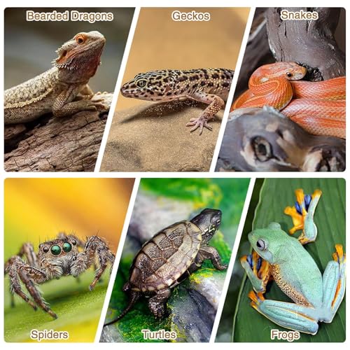 Image of Fhiny 10 PCS Cork Bark Background, 11.6 inch x 7.7 inch Natural Cork Bark for Reptiles Bearded Dragon Climbing Backdrop Terrarium Habitat Wall Decor Accessories for Turtle Gecko Lizard Snake Spider Frog