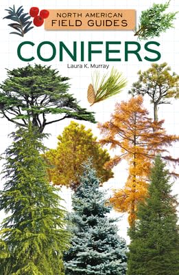 Conifers (North American Field Guides)      Library Binding – July 15, 2025